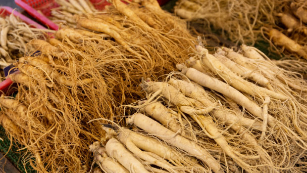 LE GINSENG
